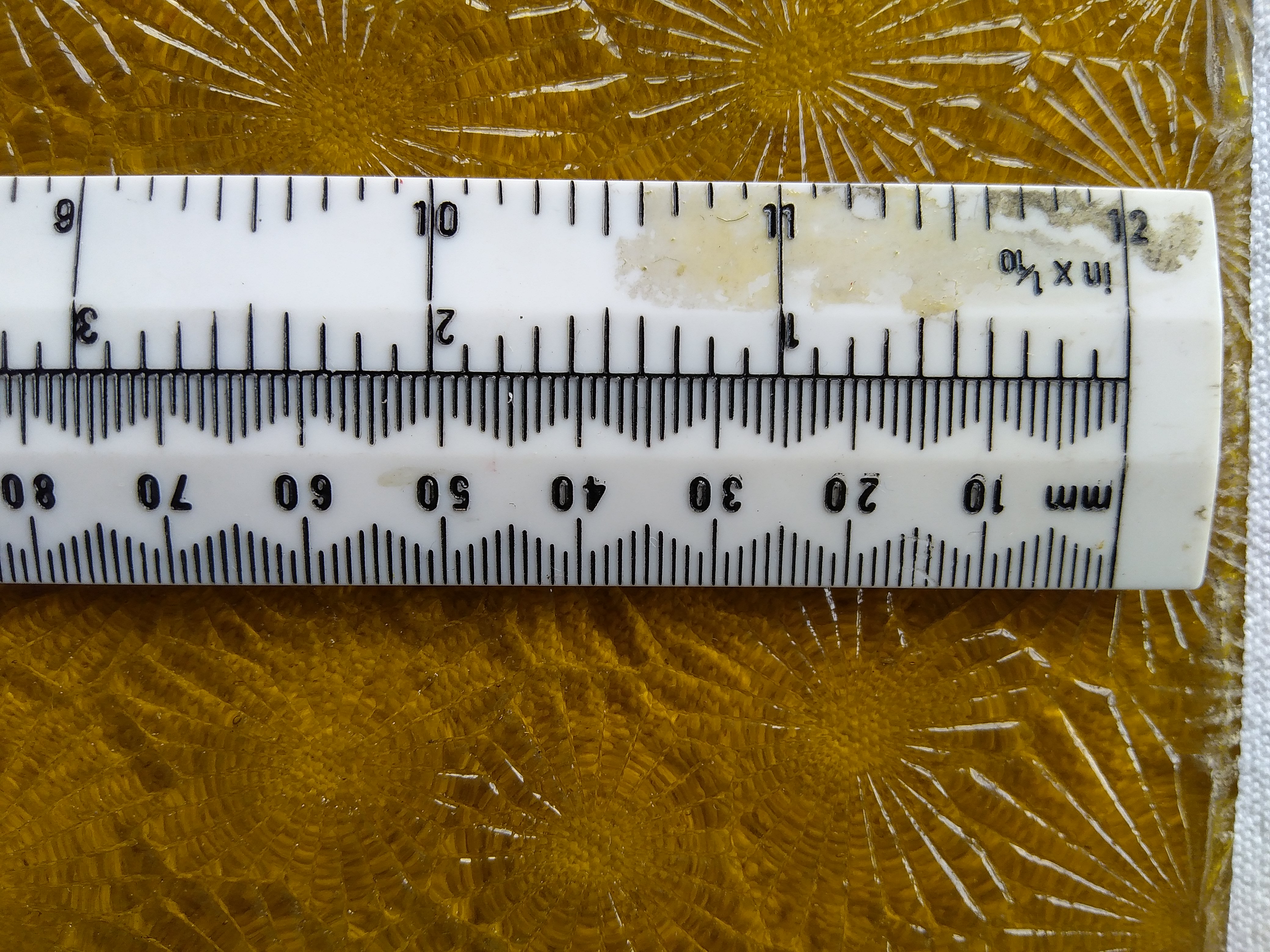 A1450 amber ruler – Richard Cann